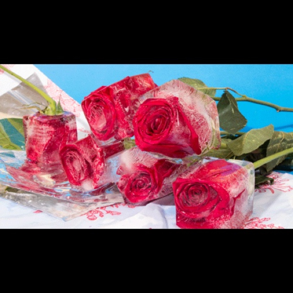 Meet your Posher, Champagne